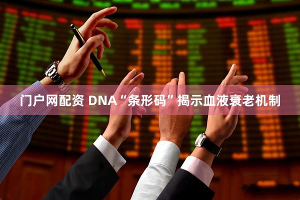 门户网配资 DNA“条形码”揭示血液衰老机制