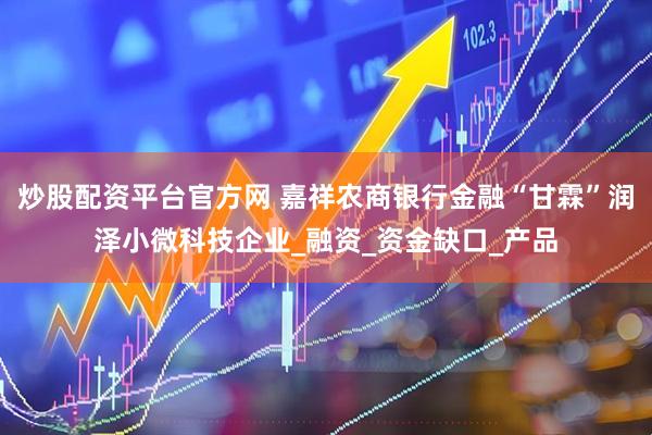 炒股配资平台官方网 嘉祥农商银行金融“甘霖”润泽小微科技企业_融资_资金缺口_产品