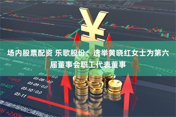 场内股票配资 乐歌股份：选举黄晓红女士为第六届董事会职工代表董事